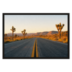 Joshua Tree Two-Lane, product preview card.