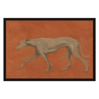Flat Greyhound, product preview card.
