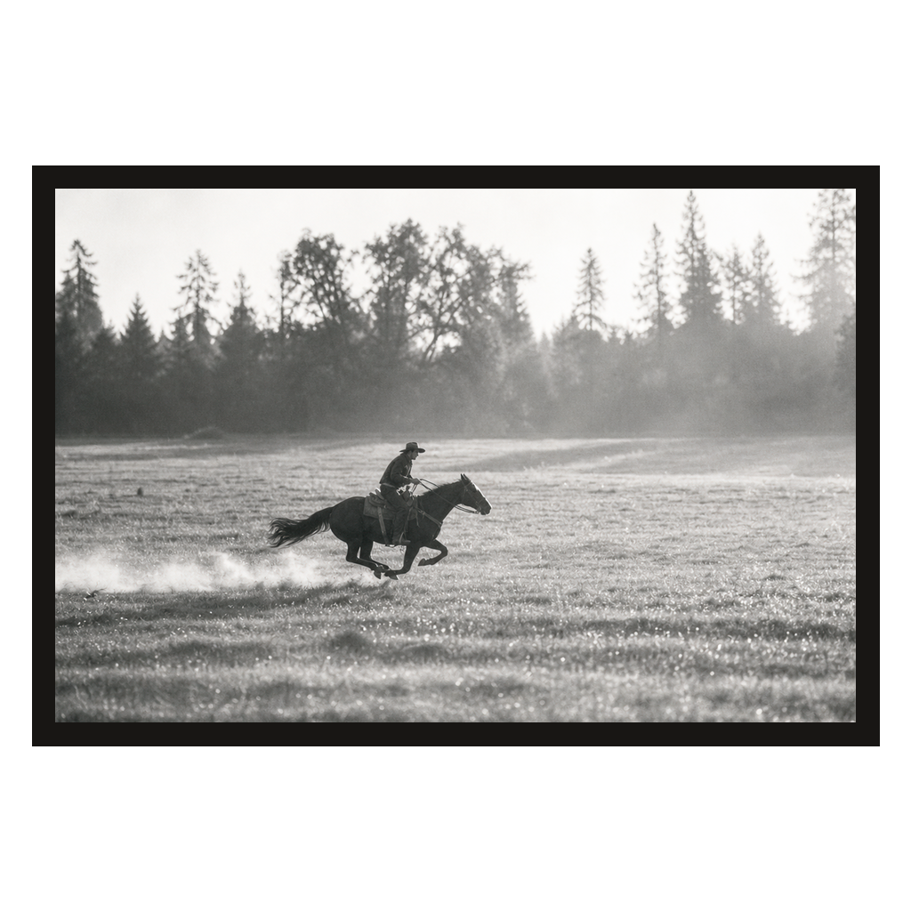 Gone at a Gallop, product preview card.