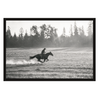 Gone at a Gallop, product preview card.