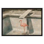 Flamingo, Empty Pool, product preview card.