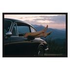 Legs Out, Top Down, product preview card.
