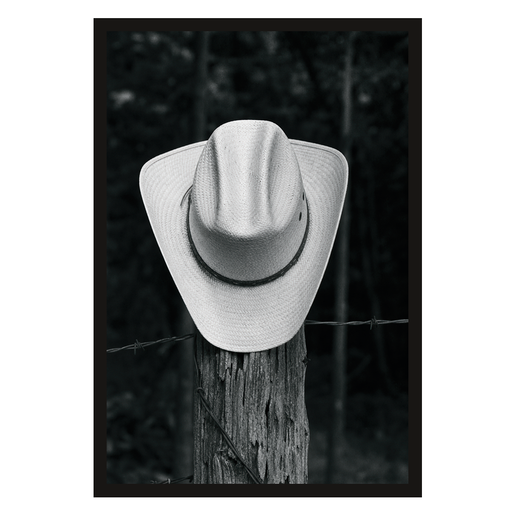 Hat on a Fencepost, product preview card.