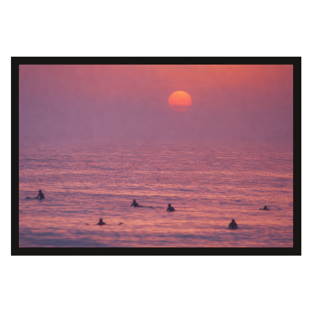 Pink Dawn Line-Up, product preview card.