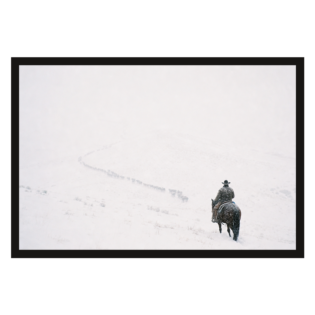 Rider in the Whiteout, product preview card.