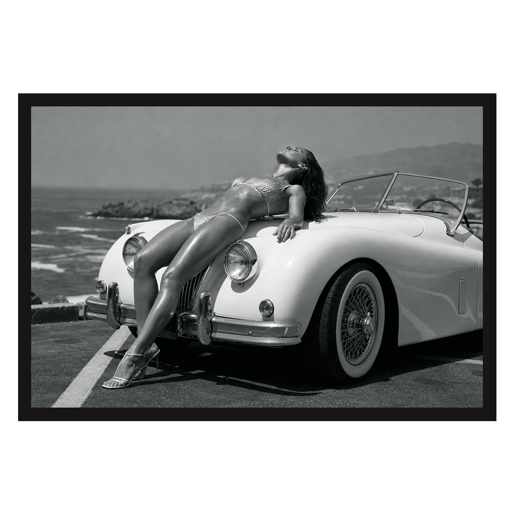 Roadster, Coastline, product preview card.