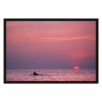 Swim at Sundown, product preview card.