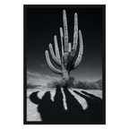 Cactus Noir, product preview card.