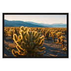 Cholla Gold, product preview card.