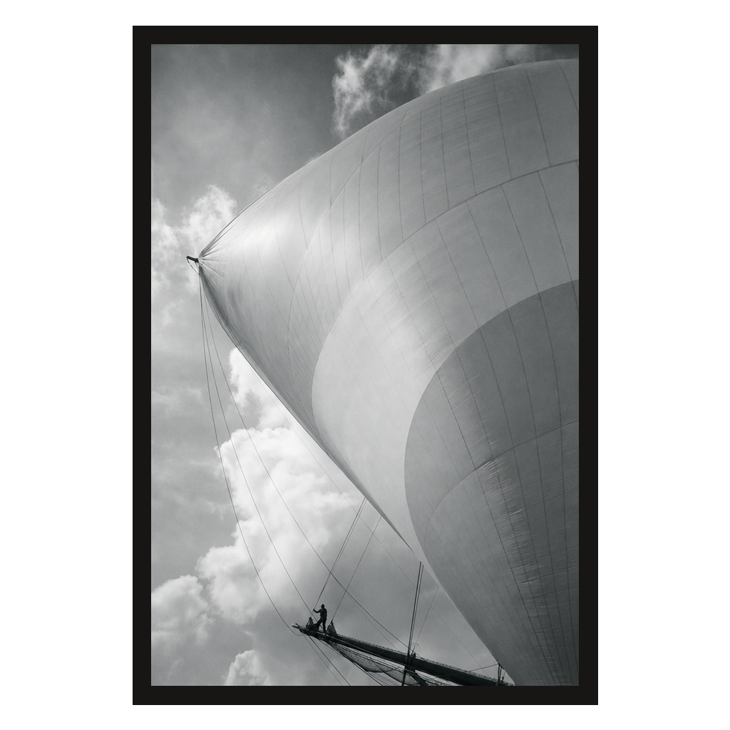 Full Sail, product preview card.