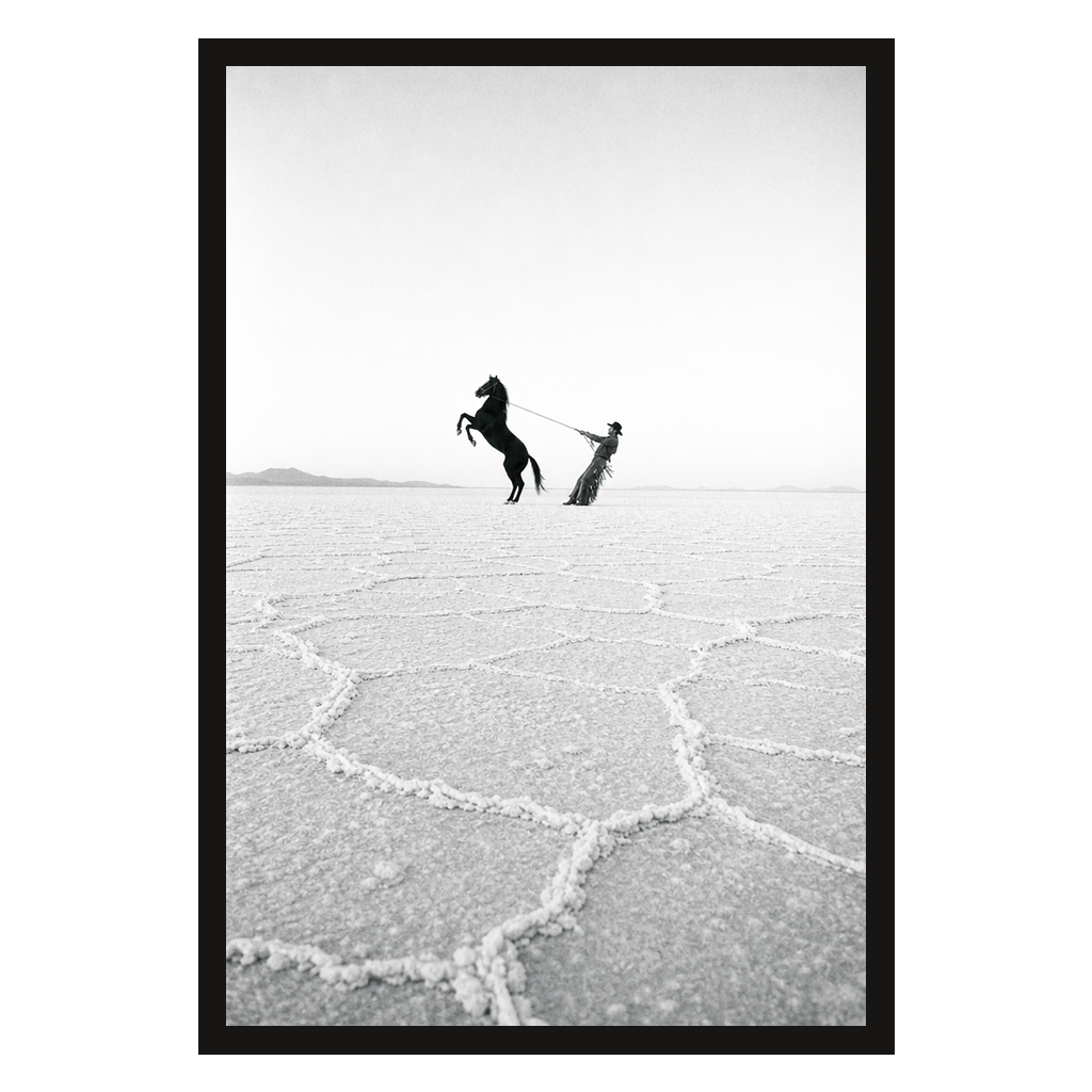 Horse on the Salt Flats, product preview card.