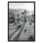 Long Shadows, Joshua Tree, product preview card.