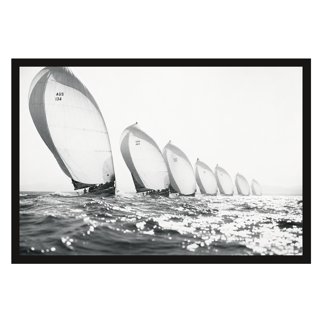 Spinnakers in Line, product preview card.