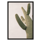 Saguaro, Up Close, product preview card.