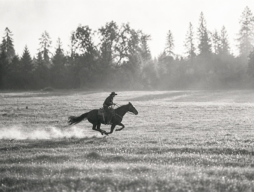 Gone at a Gallop, solo