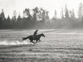 Gone at a Gallop, solo
