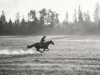 Gone at a Gallop, solo