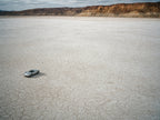 Alone on the Flats, solo