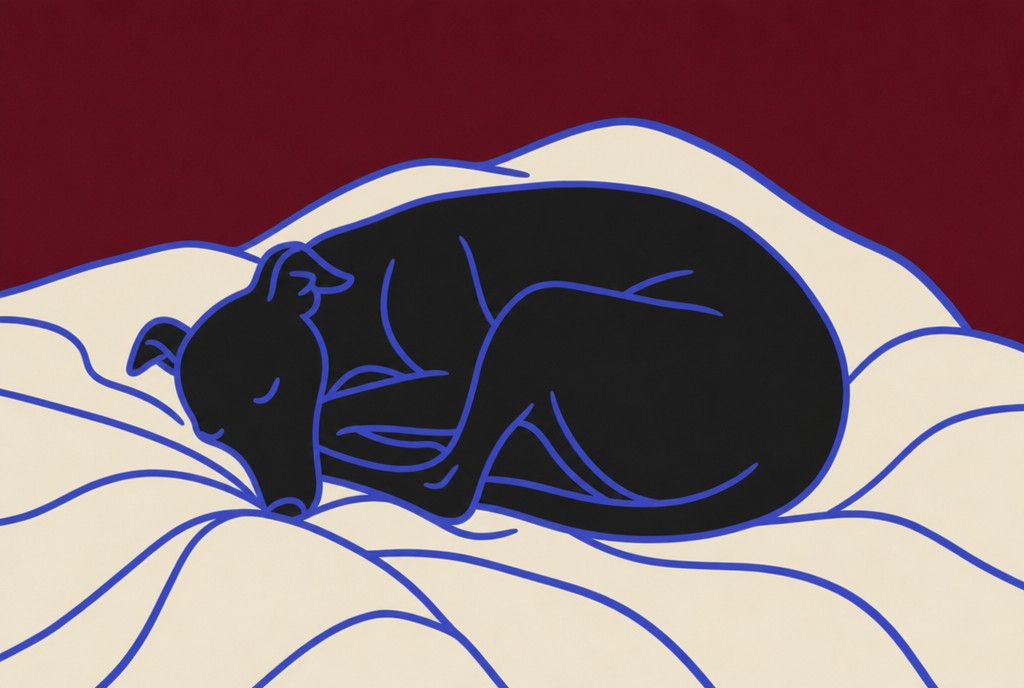 Fox asleep on a rock. Animal art print by Drunk Dame.