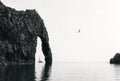 Sea Arch, One Bird, solo