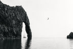 Sea Arch, One Bird, solo
