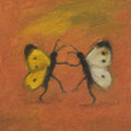 Two Butterflies, solo