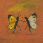 Two Butterflies, solo