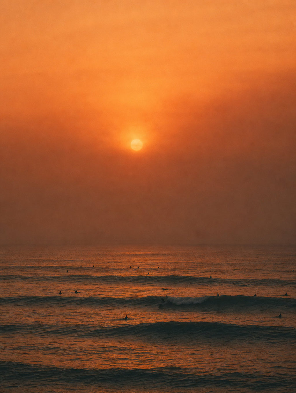 Burnt Orange Lineup, solo