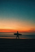 Board at Dusk, solo