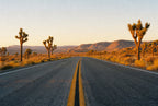 Joshua Tree Two-Lane, solo