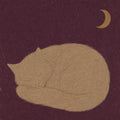 The Cat Knows, solo