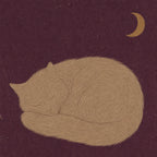 The Cat Knows, solo