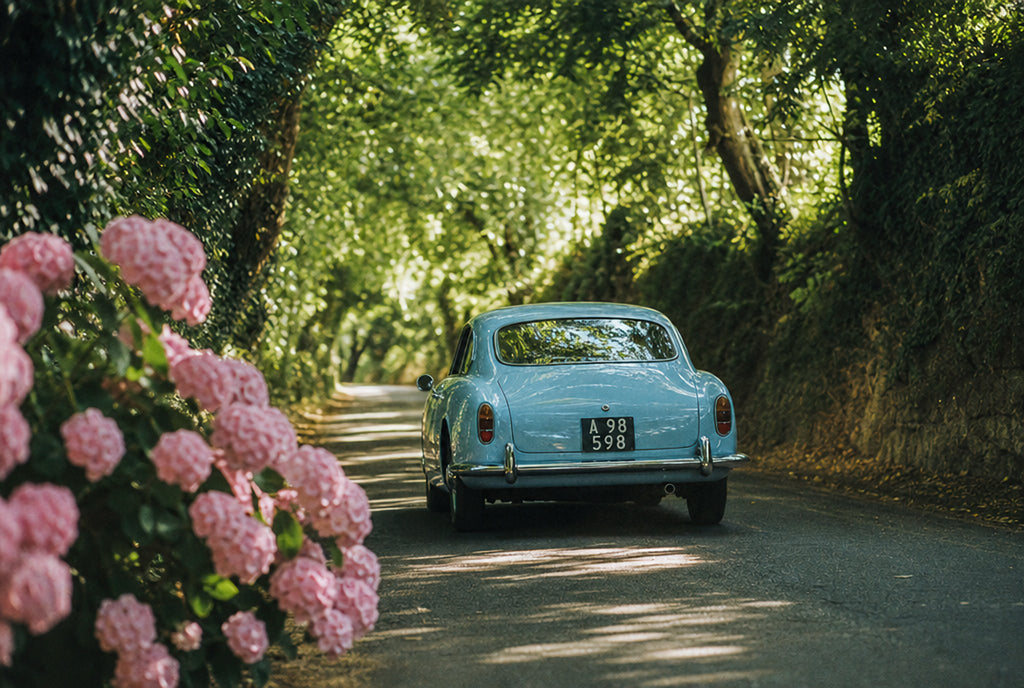 Blue Car, Pink Bloom, solo