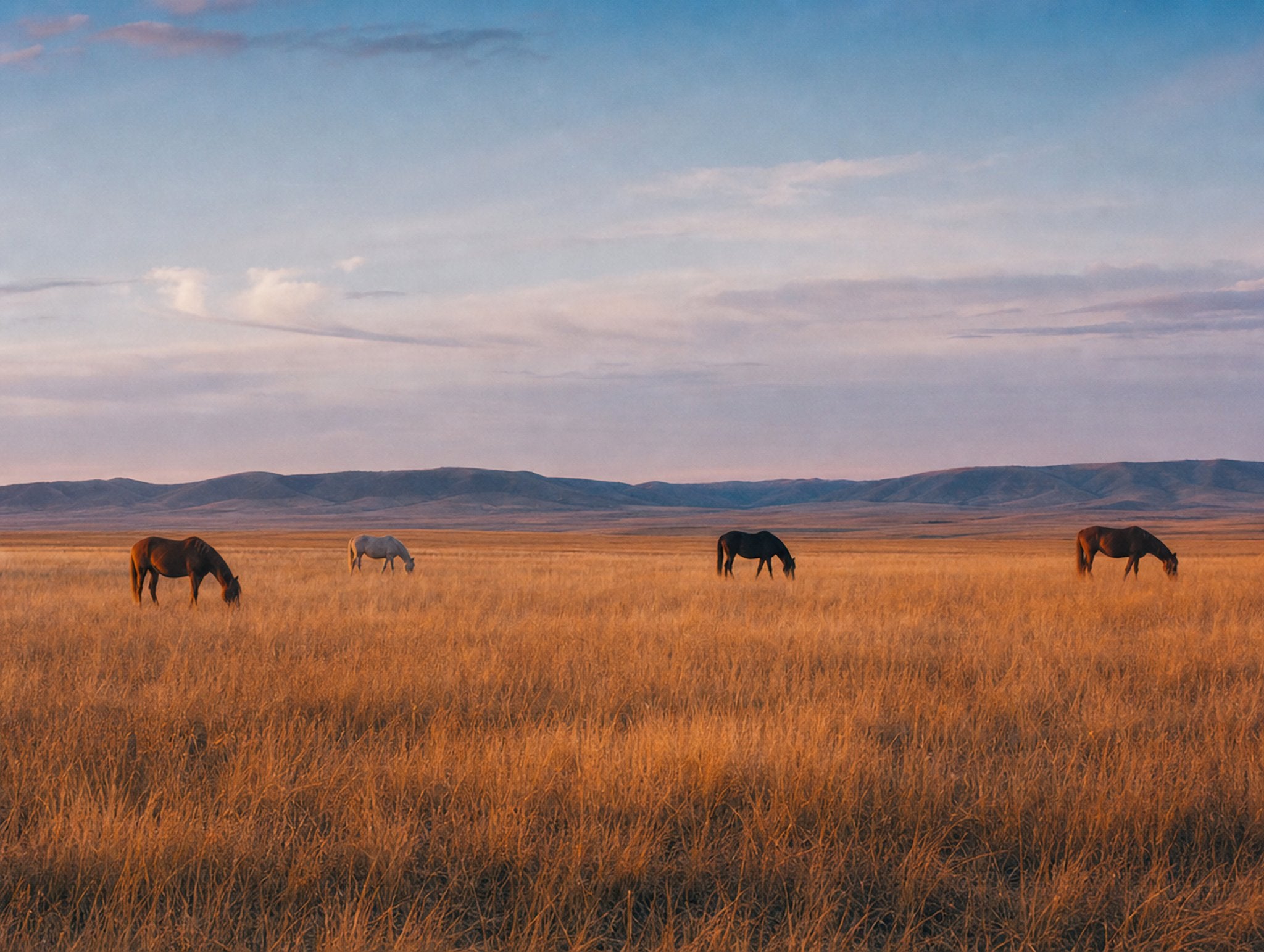 Horses, No Hurry, solo