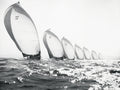 Spinnakers in Line, solo
