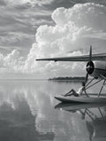 Wing and Water, solo