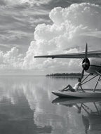 Wing and Water, solo