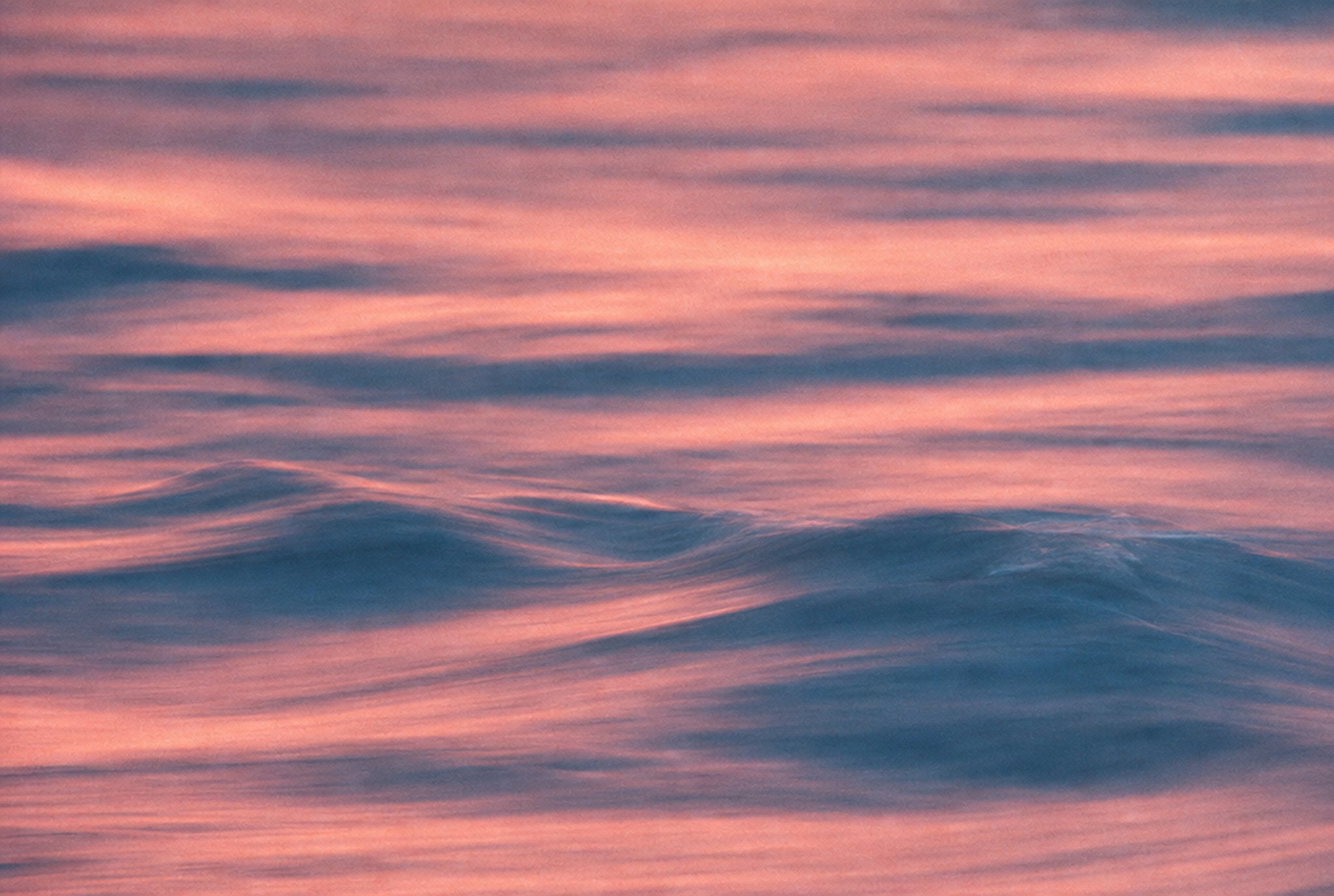 Pink Tide, solo