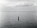 Two Up From the Deep, solo