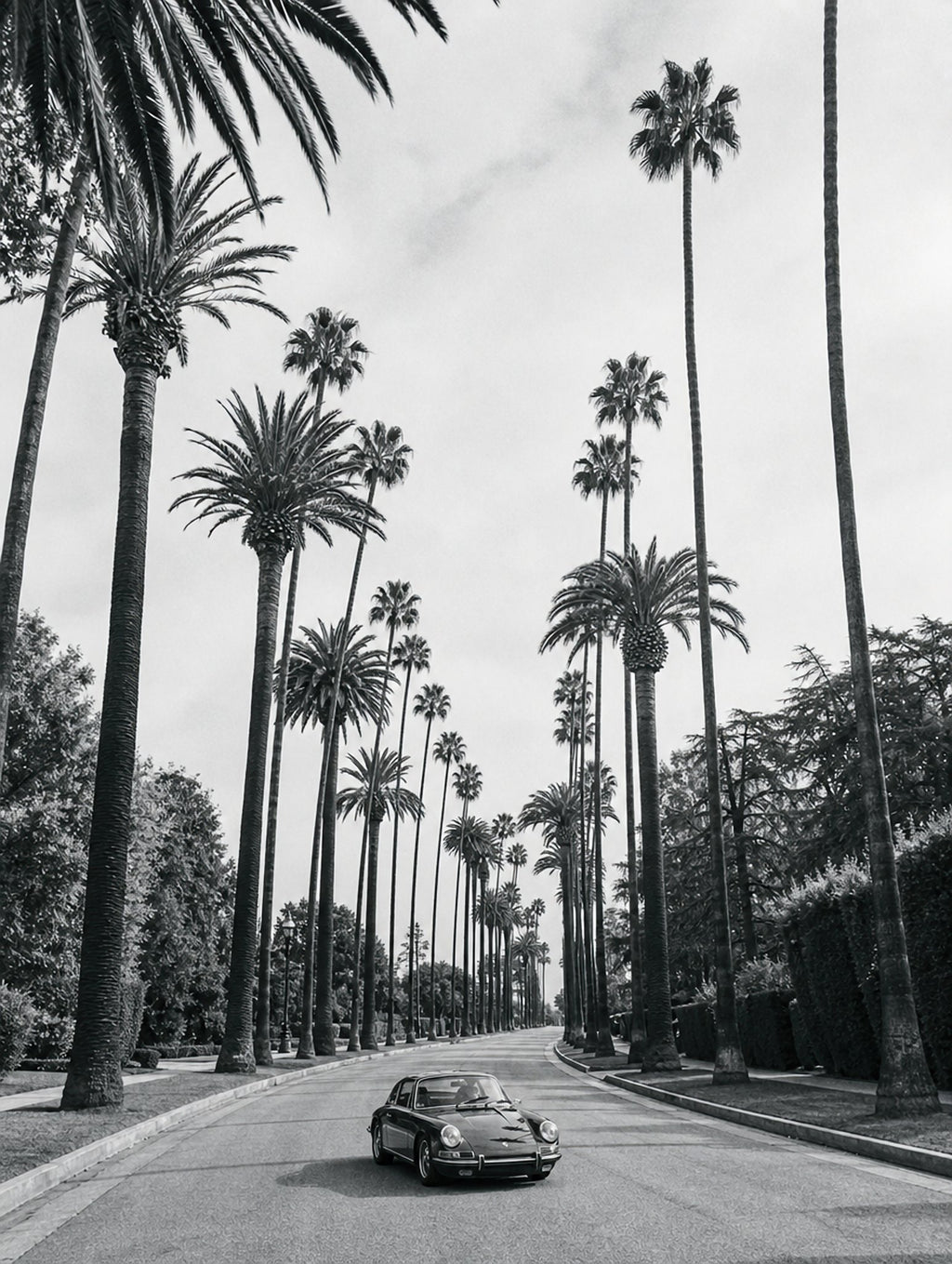 Beverly Palms, solo