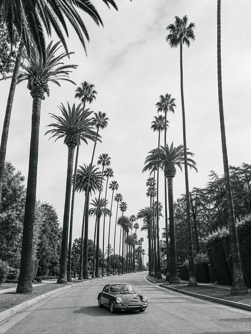 Beverly Palms, solo