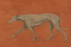 Flat Greyhound, solo