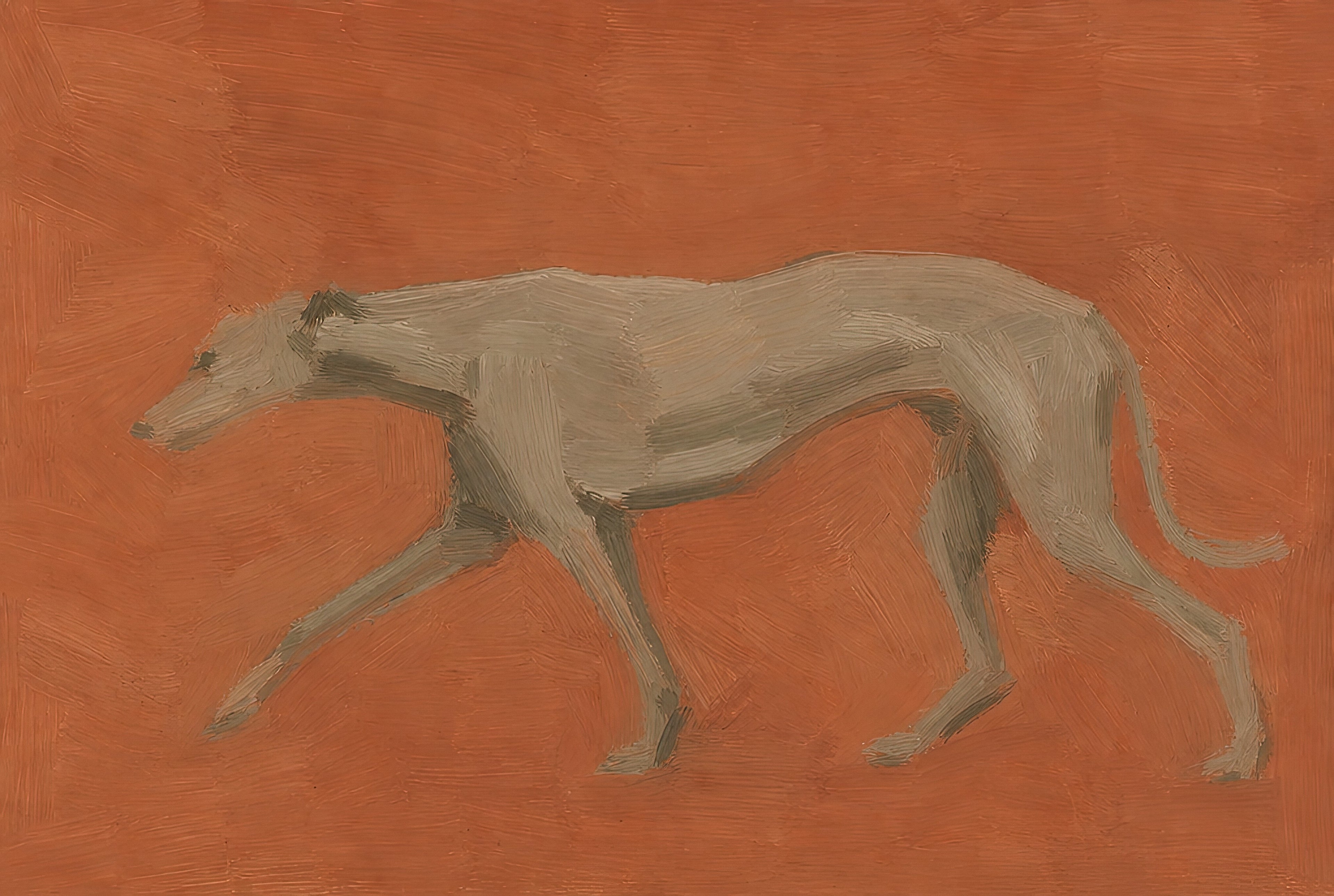 Flat Greyhound, solo