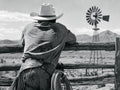 Windmill Country, solo