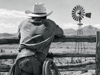 Windmill Country, solo