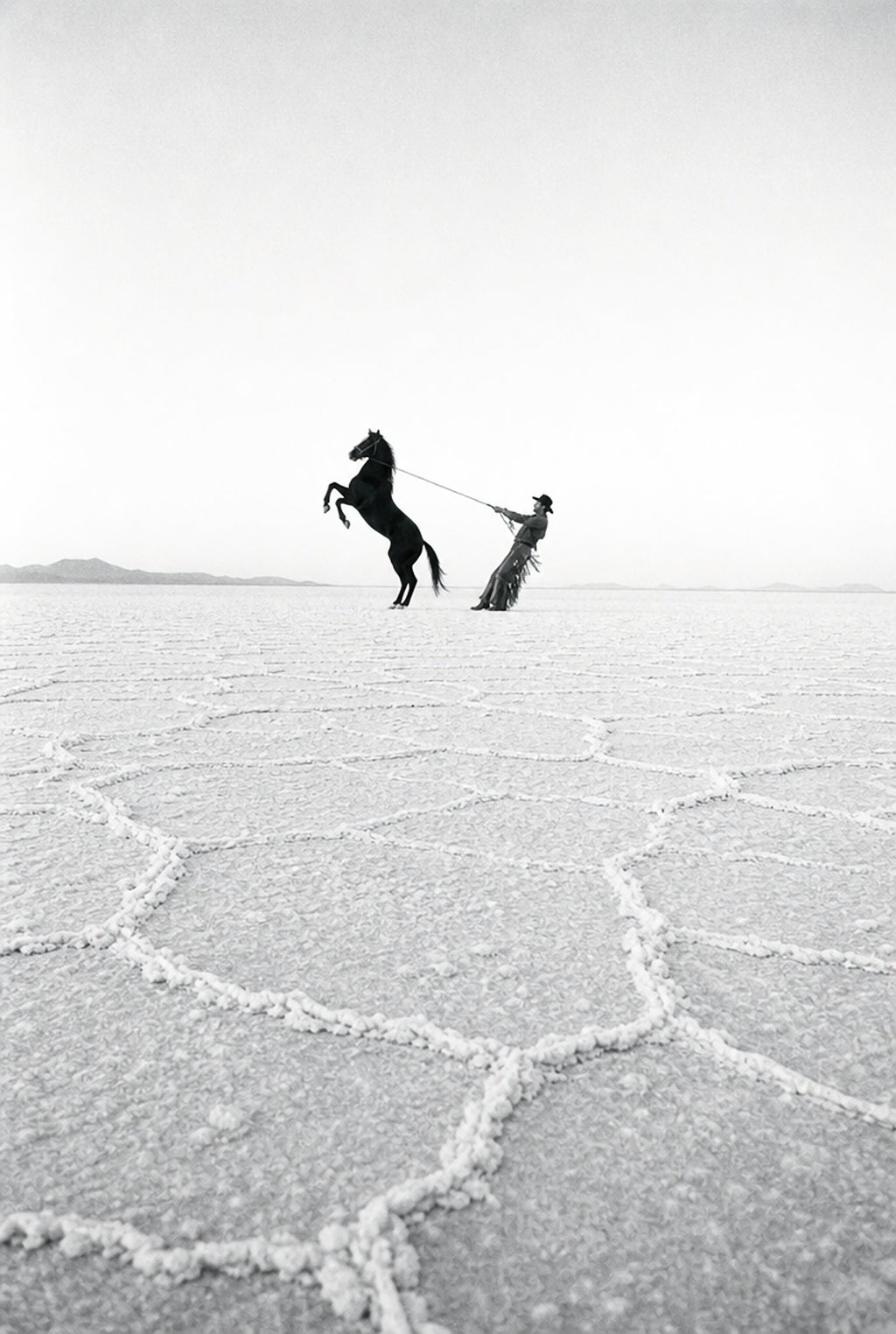 Horse on the Salt Flats, solo