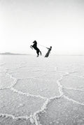 Horse on the Salt Flats, solo