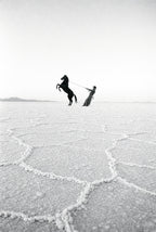 Horse on the Salt Flats, solo