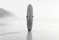 Longboard at Low Tide, solo