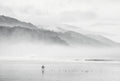 Fog Walker, solo